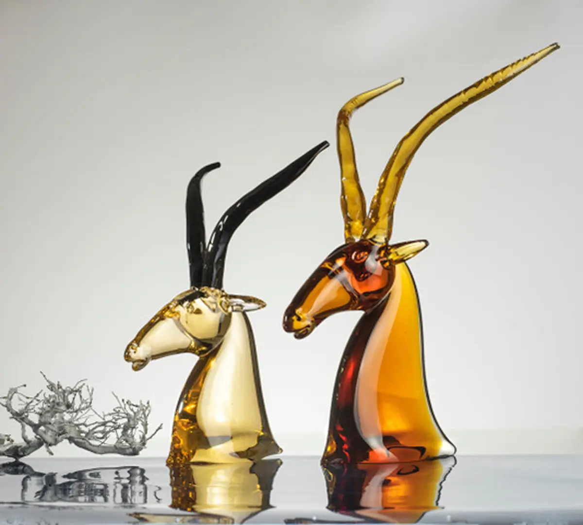 Arabian oryx  – Earth Animals